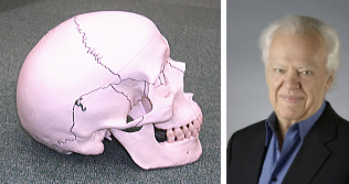 頭蓋骨の模型と、Ｊ.Ｅ.アプレジャーＤＯの写真